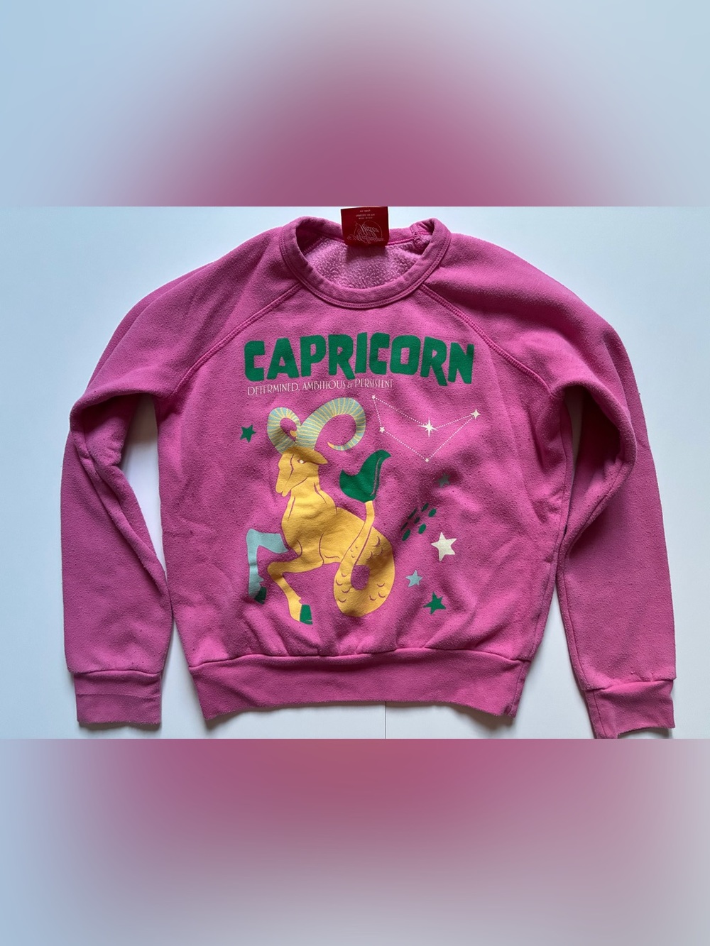 NWT Anthropologie The Carolita Zodiac  Capricorn Sweatshirt - Size XXS Pink